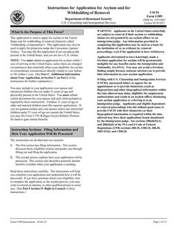 I-589 - Your Path to Asylum and Protection in the US form preview