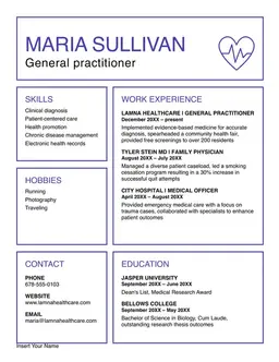 Retro vibes professional resume form preview