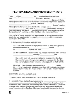 Florida Standard Promissory Note Overview form preview